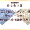 2025年銀のカメレオン座のラッキーカラー無料待ち受け画像15選！