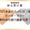 2025年金のカメレオン座のラッキーカラー無料待ち受け画像15選！